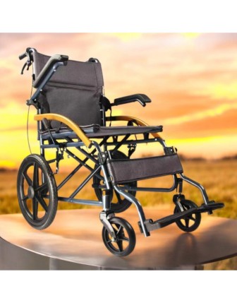 Respirox RTS-01 Hasta Transfer Sandalyesi